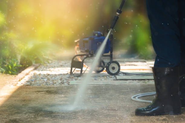 Animal Enclosure Cleaning in Huntsville, TN